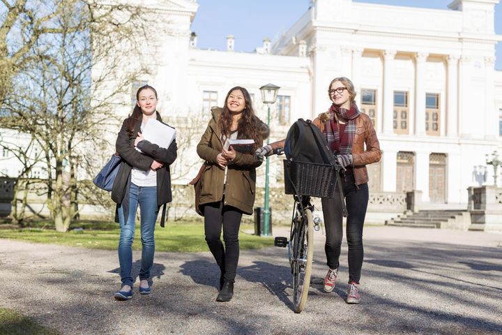 Vad gjorde de som slutade gymnasieskolan läsåret 2019/20 till och med vårterminen 2023? CSN har tillsammans med Statistiska centralbyrån (SCB) Universitets- och högskolerådet (UHR) och Universitetskanslersämbetet (UKÄ) följt upp en enkätundersökning från 2019.