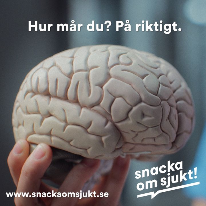 Hand som håller i hjärna i plast. Text i bilden "Hur mår du? På riktigt?" och hänvisning till www.snackaomsjukt.se. Foto.