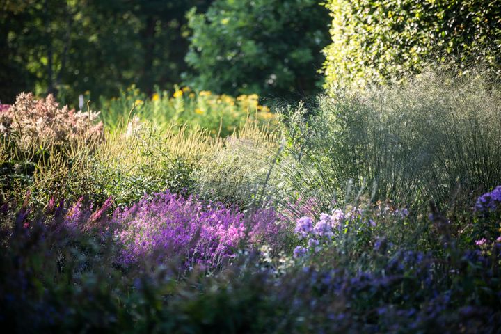 Bild från Drömparken i Enköping.