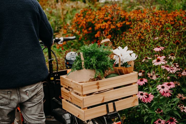 En person cyklar med en träkorg fylld med gröna och vita växter bredvid en trädgård med blommor.