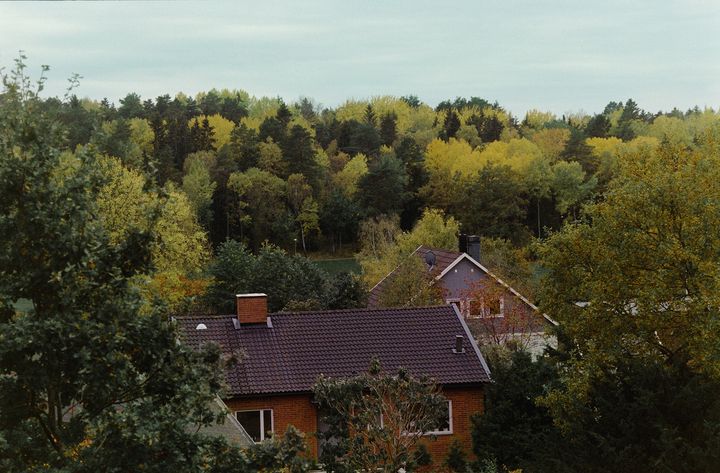 SBAB/Booli:s indikator Bomarknadstempen – som mäter hur lätt det är att sälja en bostad – visar att temperaturen på den svenska bostadsmarknaden som helhet steg i september.