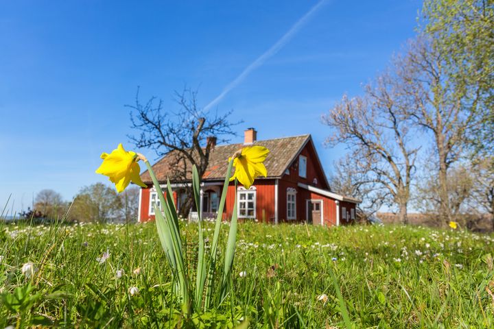 Bostadspriserna bedöms öka med 4,3 procent i år, vilket är en liten nedrevidering jämfört med förra prognosen.