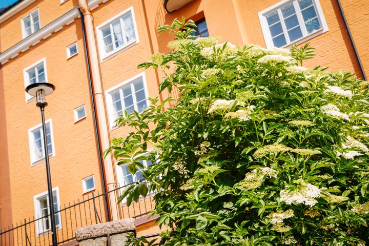 Bostadspriserna steg med 0,4 procent i juni för Sverige som helhet: lägenhetspriserna med 0,6 procent och huspriserna med 0,3 procent. Såväl lägenhets- som huspriserna steg i fyra av sex regioner och föll i två. Även om prisuppgången för Sverige som helhet var måttlig, var den stark för att vara en junimånad. Detta visar SBAB Booli Housing Price Index (HPI).