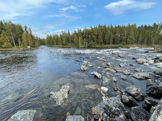 Långforsen överfallsdamm efter rivning, Krokum kommun