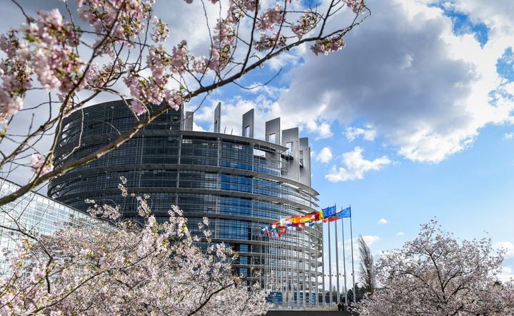Parlamentsbyggnaden i Strasbourg. Fotograf: Genevieve Engel