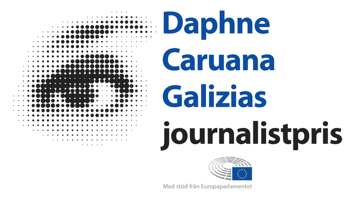 Priset belönar framstående journalistik som främjar eller värnar om Europeiska unionens grundläggande principer och värden.
