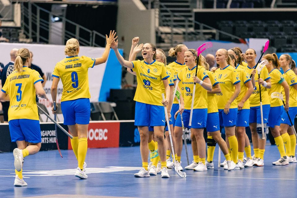  Svensk Innebandy Motiv 