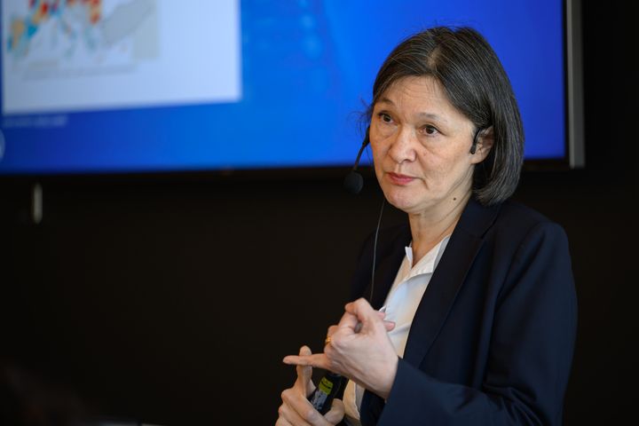 Professor Sylvia Schwaag Serger, vd IVA