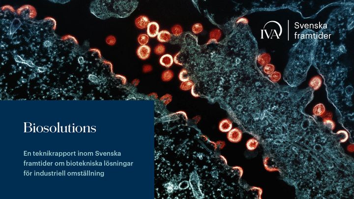 Mikroskopbild i blått och orange med text: "Biosolutions – En teknikrapport inom Svenska framtider om biotekniska lösningar för industriell omställning" samt IVA:s logotyp.