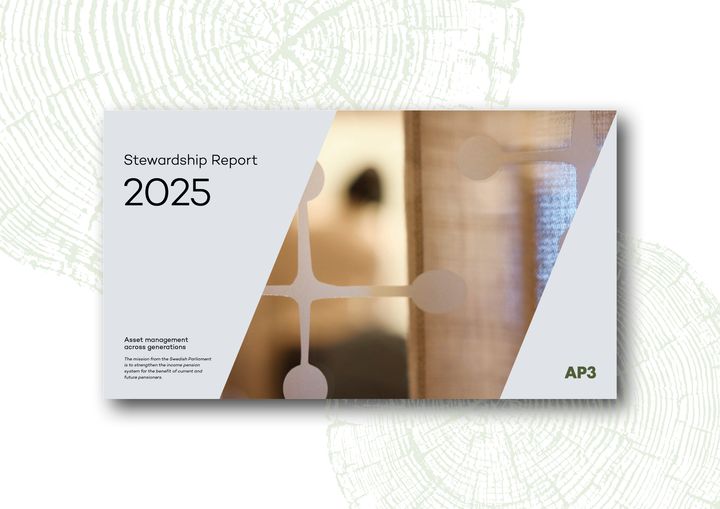 AP3_cover_ENG_Stewardship report