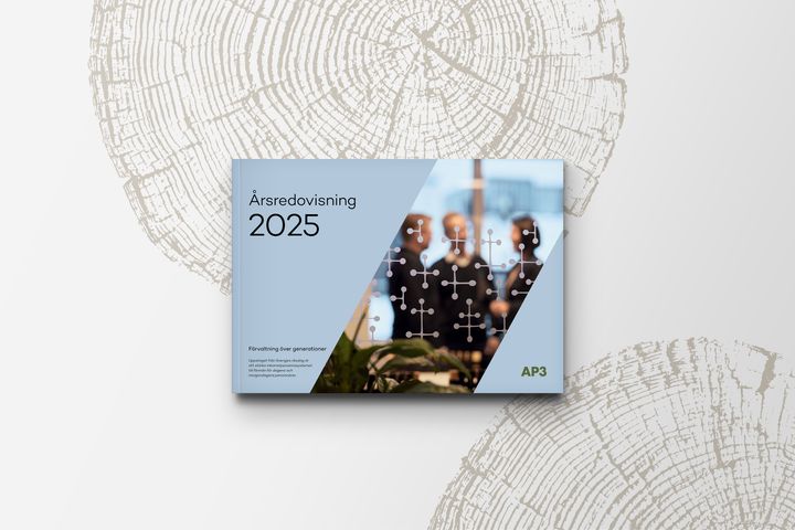 AP3_ÅR2025_omslag