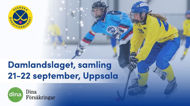 Sverige möter USA i 4 Nations Cup tidigare i år. Turneringen spelades i Ruddalens ishall i Frölunda.