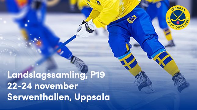 P19-truppen samlas i Uppsala 22-24 november