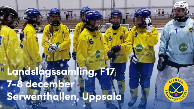 F17-landslaget samlas i Uppsala 7-8 december 2024