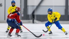 Damlandslaget möter Norge i 4 Nations Cup 2024