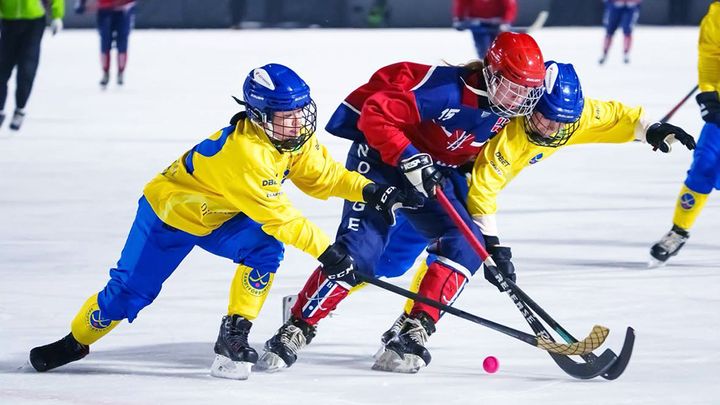 Sverige och Norge möts i två landskamper i december 2024