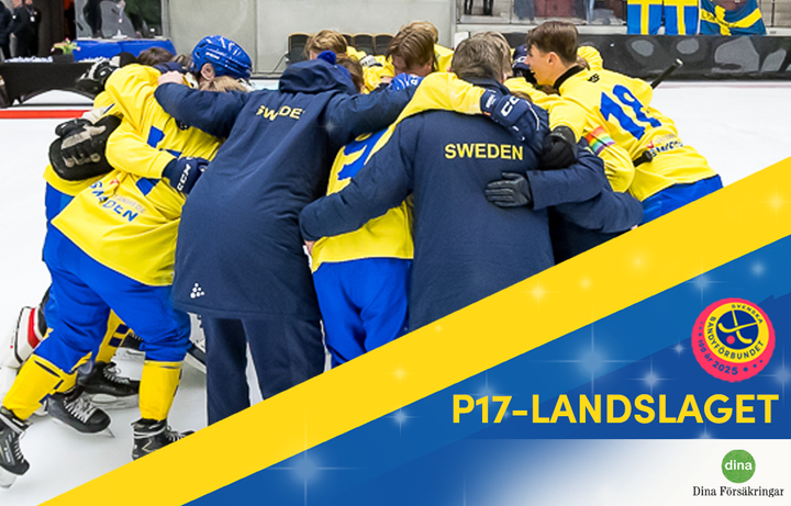 P17 vid VM i Sandviken 2025. Nu samlas de inför kommande VM i Uppsala 2026.