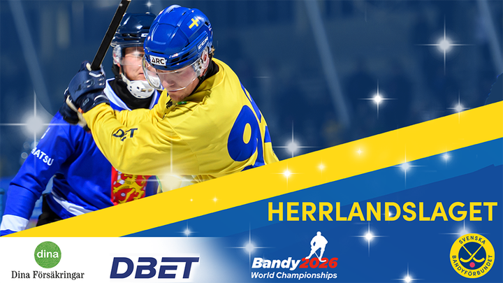 Herrspelarna som representerar Sverige i VM i Finland