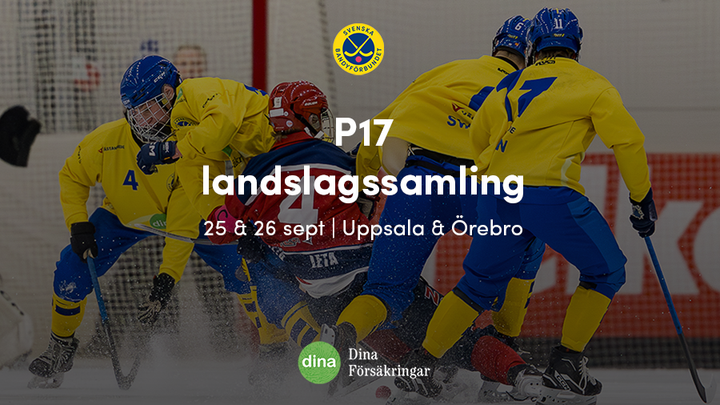 VM-finalen mot Norge i Uppsala 2026