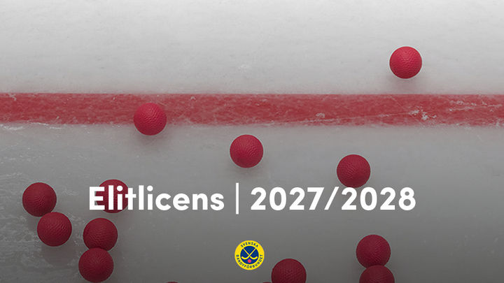 Beslut om elitlicens för säsongen 2027/2028