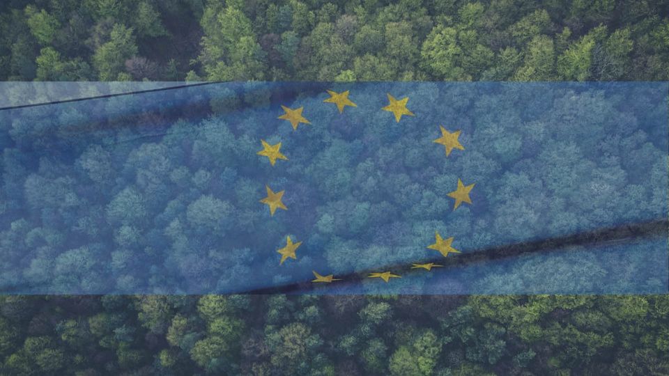 EU's New Bioeconomy Strategy: A Path to Sustainability and Resilience ...