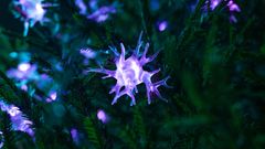 En ljusslinga med ljus i form av hjärncellsliknande strukturer, programmerad att efterlikna Alzheimers sjukdom.