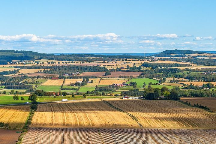 Öppet jordbrukslandskap