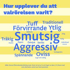 Hur upplever du att valrörelsen varit?
