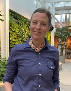 Ann Rudman, docent och forskare på Högskolan Dalarna.