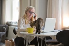 En kvinna sitter vid dator och pratar i telefon. På bordet bredvid datorn står en katt och nosar på en kaffekopp.