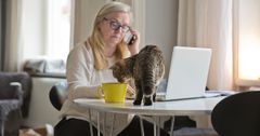 En kvinna sitter vid dator och pratar i telefon. På bordet bredvid datorn står en katt och nosar på en kaffekopp.