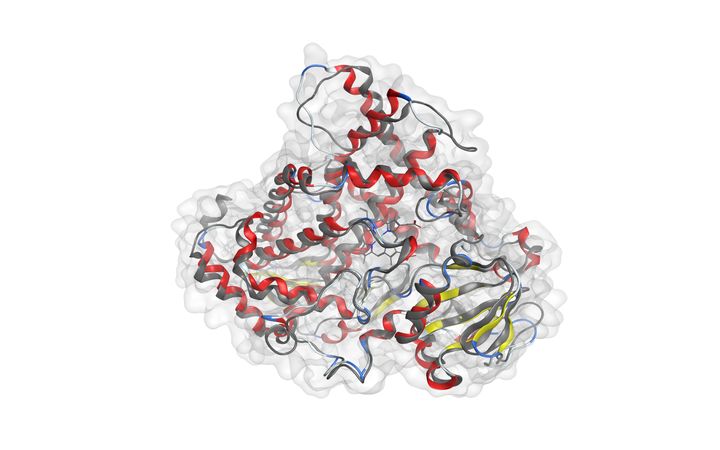 Proteinstruktur