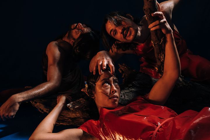 Girish Kumar Rachappa, Harrison Elliott, Lilian Steiner