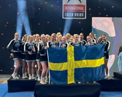 JEM-silver till GCO Bobcats