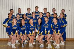 Mixade landslaget 2025