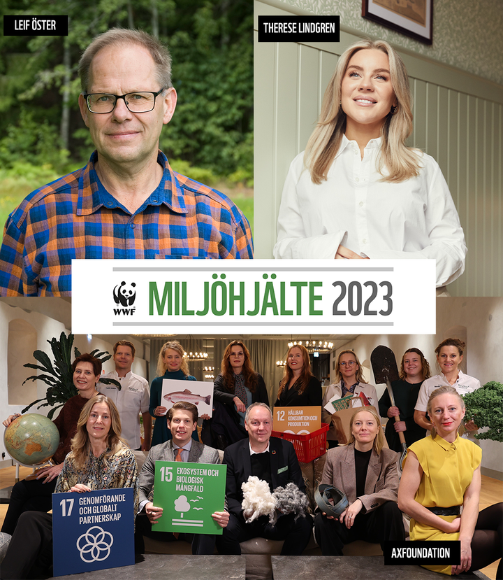 De tre nominerade till Årets miljöhjälte. Från vänster är det Leif Öster, till högerTheres Lindgren och längst nere Axfoundation.