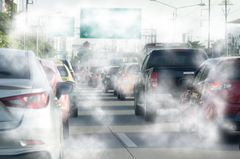 WWF beklagar att regeringen i sin budget sänder en tydlig signal att man varken prioriterar att minska klimatutsläppen eller satsar tillräckligt på naturvården. Foto: Getty Images