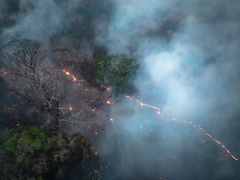 Bränderna i Amazonas, Brasilien.