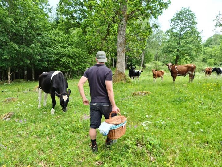 Naturbetesbonden Marin Gotting i naturbeteshagen vid Köttkulla gård i Grönahög.