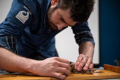 Marinbiolog sätter sändare på knaggrocka Foto: Troy Enekvist WWF