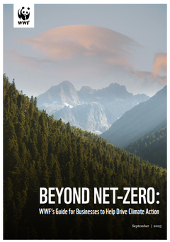 Beyond Net Zero Front cover