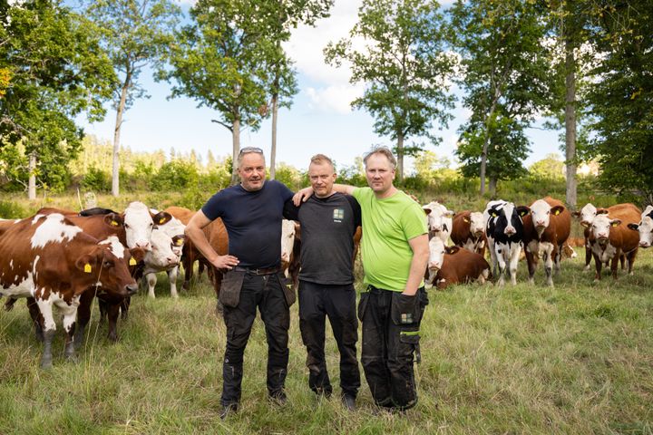 Mathias, Henrik och Gabriel Jonsson är de första smålänningarna som vunnit WWFs utnämning "Årets Östersjöbonde".