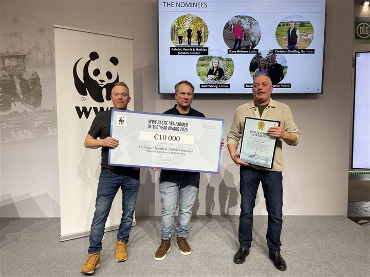 Bröderna Jonsson tar emot priset på scenen.