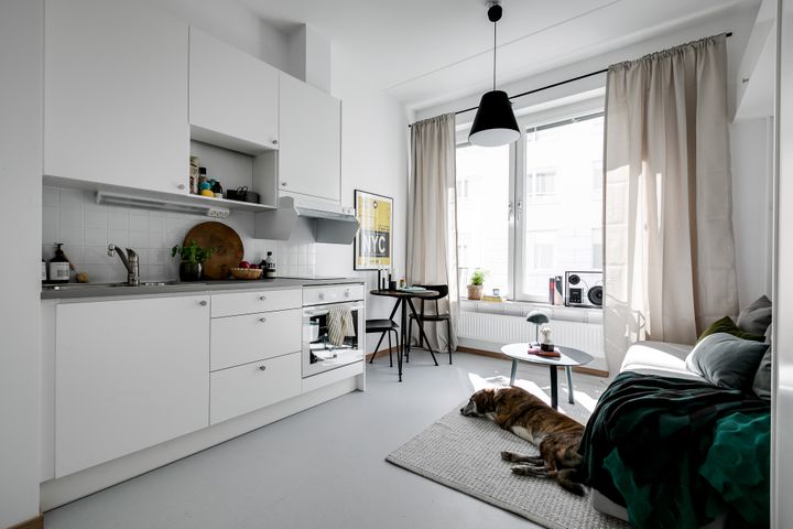 En inredd studentlägenhet om 1 rum och kök. I bild syns köket, matplats, fönster med gardiner, bäddsoffa och soffbord. På golvet ligger en hund på en matta framför soffan.