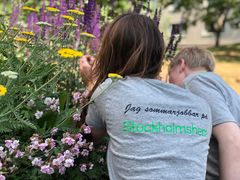Två ungdomar står med ryggen till och påtar i en rabatt. De har på sig gråa t-shirts med texten Jag sommarjobbar på Stockholmshem