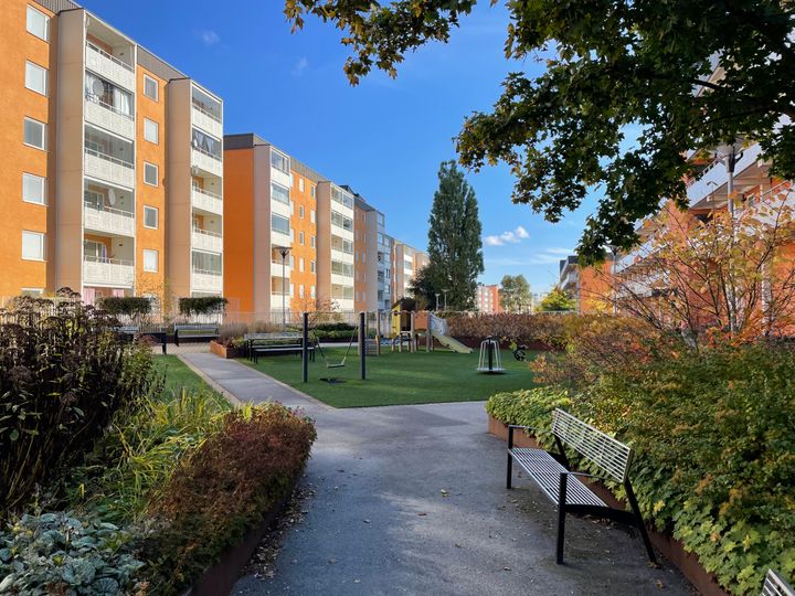 Flerbostadshus i Tensta med grönska i förgrunden. Höstfärger.