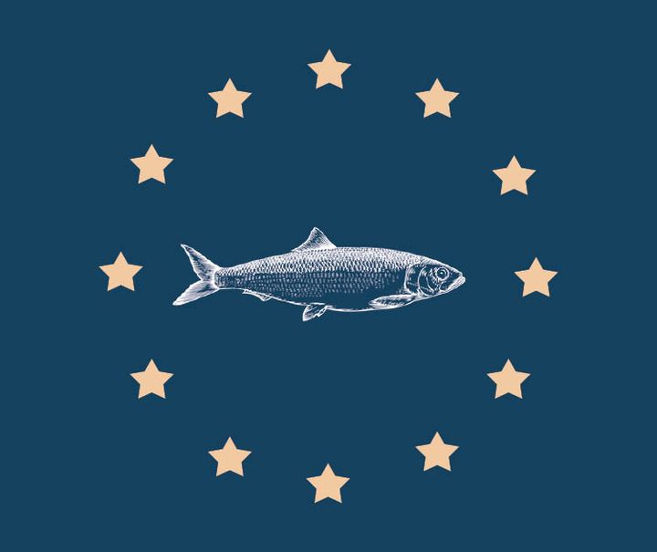 Rapport: Bryter EU:s fiskeministrar mot lagen?