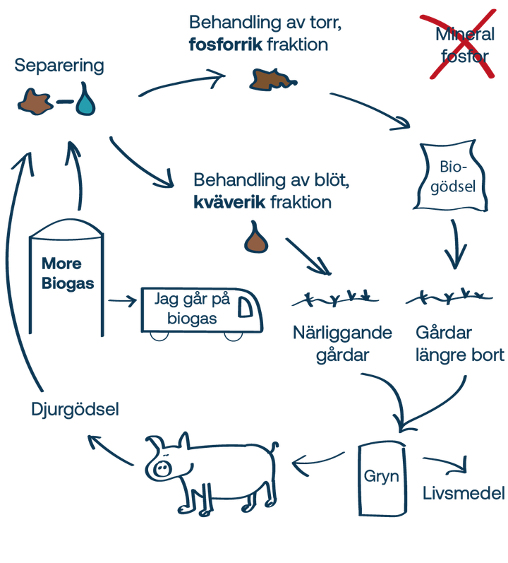 BalticWaters%20Cirkul%E4r%20NP%20illustration