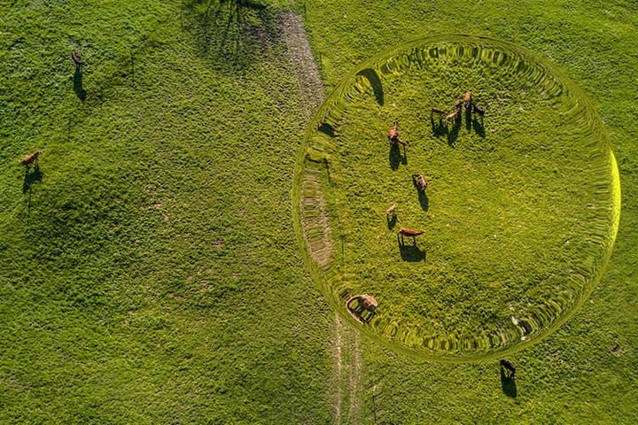 BalticWaters Cirkulär NP – Bättre kretslopp för djurgödsel