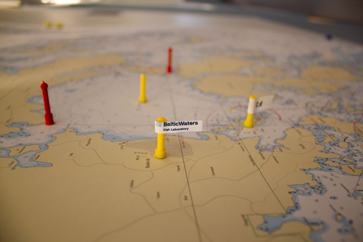 BalticWaters Fish Laboratory